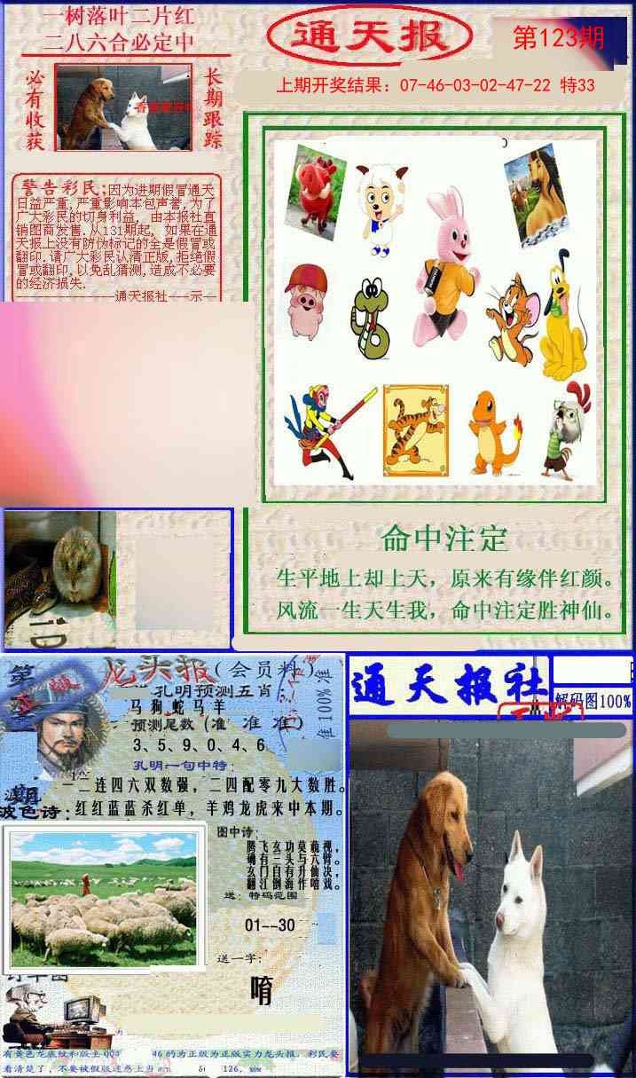 加载中……