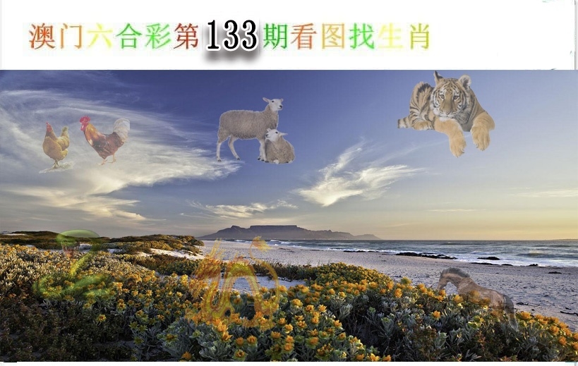 加载中……
