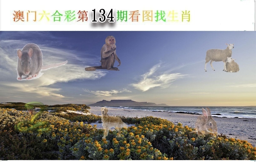 加载中……