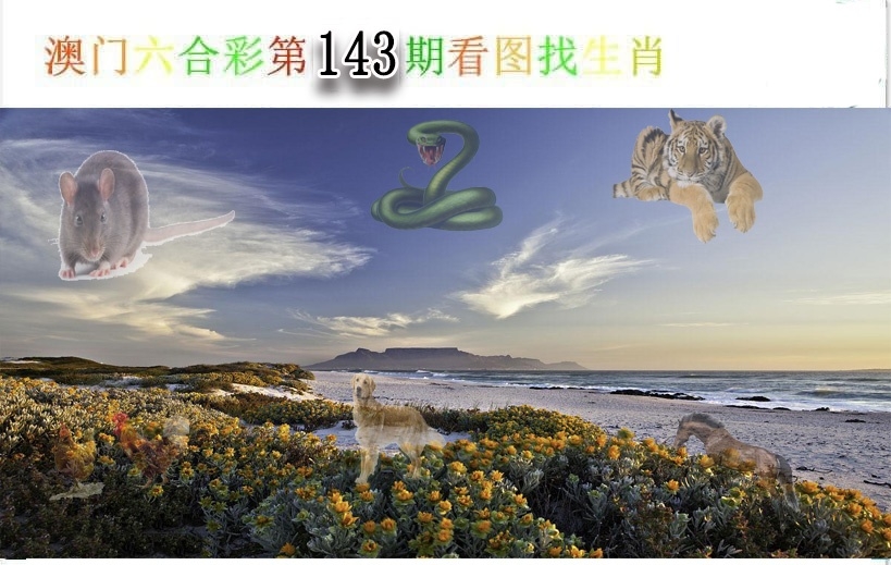 加载中……