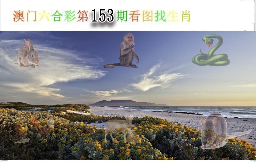 加载中……
