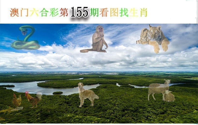 加载中……