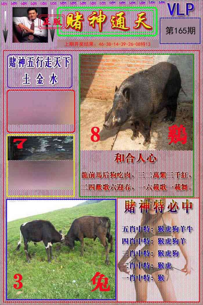 加载中……
