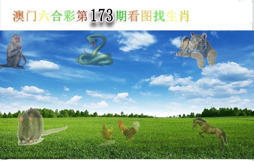 加载中……