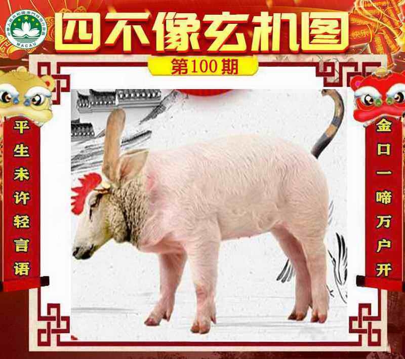 图片如未更新，可能正在上传中，或者开奖日再来看看，不便之处请谅解！