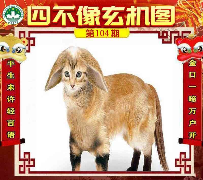 图片如未更新，可能正在上传中，或者开奖日再来看看，不便之处请谅解！