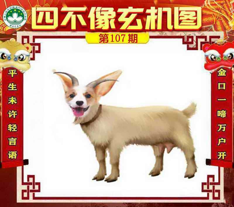 图片如未更新，可能正在上传中，或者开奖日再来看看，不便之处请谅解！