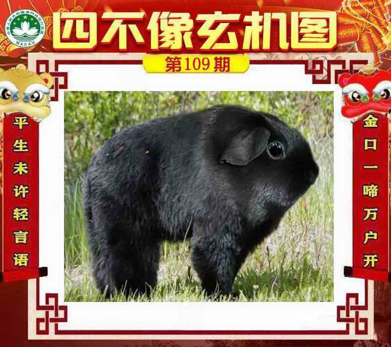 图片如未更新，可能正在上传中，或者开奖日再来看看，不便之处请谅解！