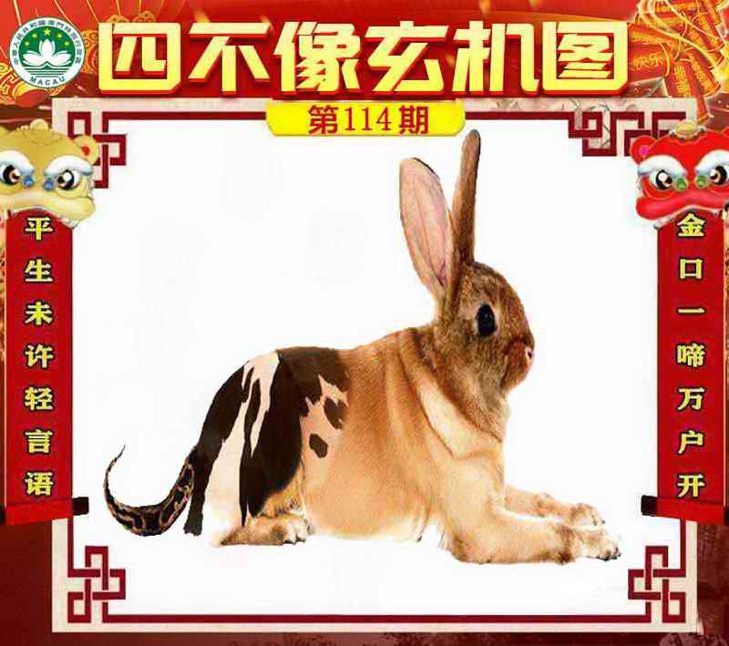 图片如未更新，可能正在上传中，或者开奖日再来看看，不便之处请谅解！
