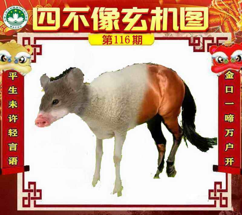 图片如未更新，可能正在上传中，或者开奖日再来看看，不便之处请谅解！