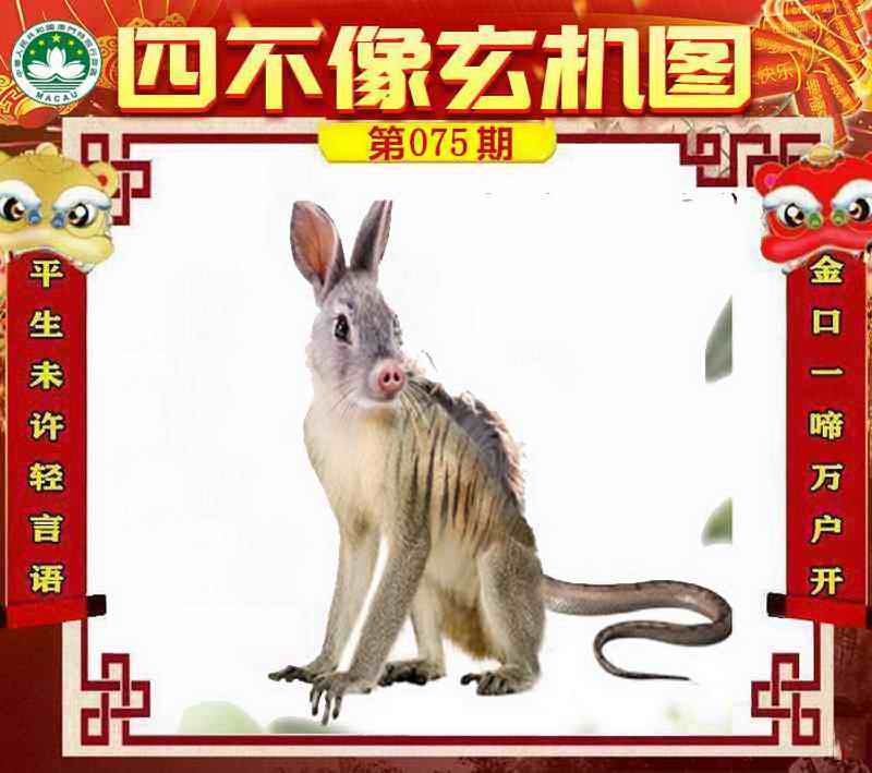 图片如未更新，可能正在上传中，或者开奖日再来看看，不便之处请谅解！