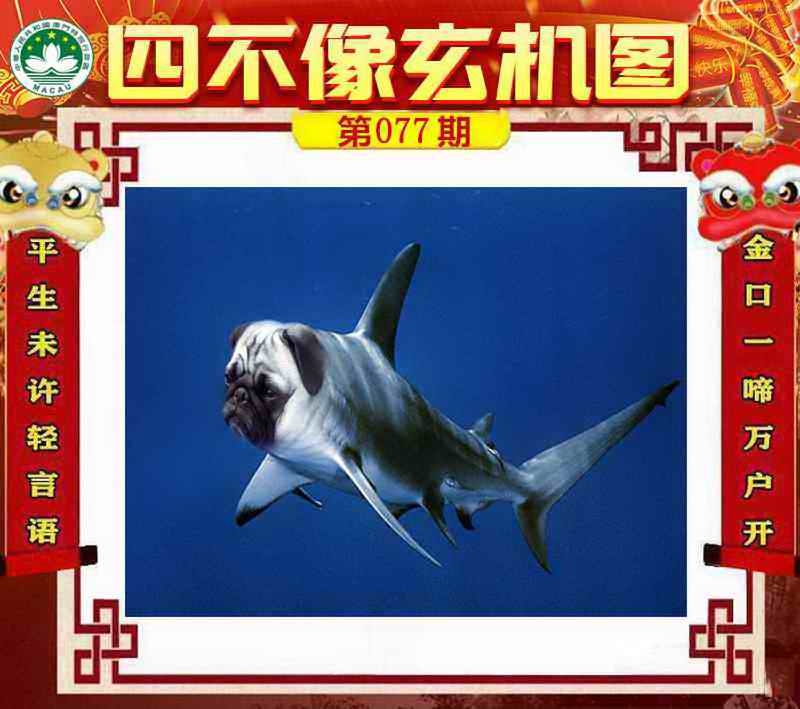 图片如未更新，可能正在上传中，或者开奖日再来看看，不便之处请谅解！
