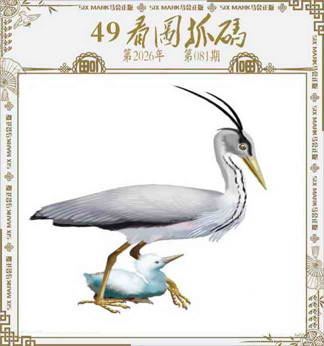 图片如未更新，可能正在上传中，或者开奖日再来看看，不便之处请谅解！