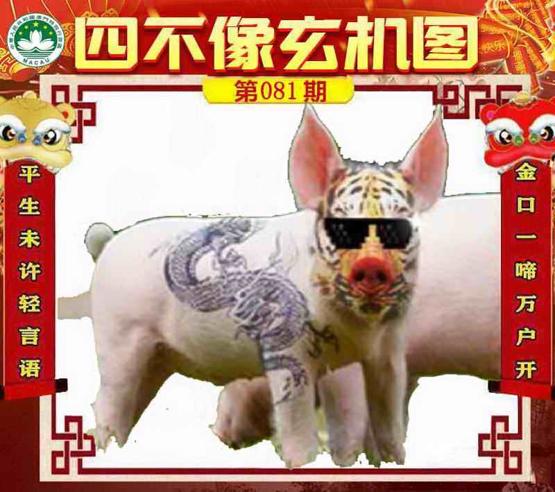 图片如未更新，可能正在上传中，或者开奖日再来看看，不便之处请谅解！